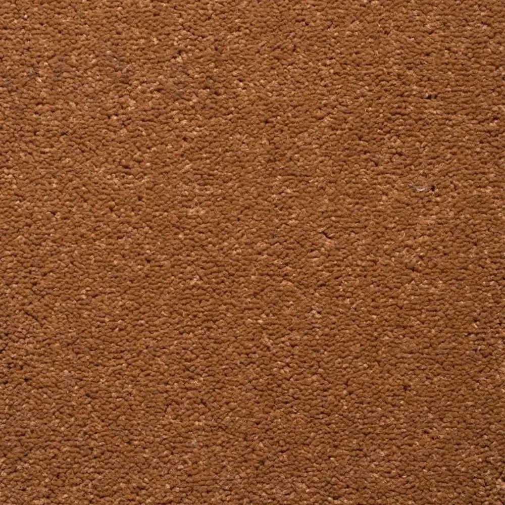 موکت کات بی کرم شکلاتی پالاز (کد 5526)